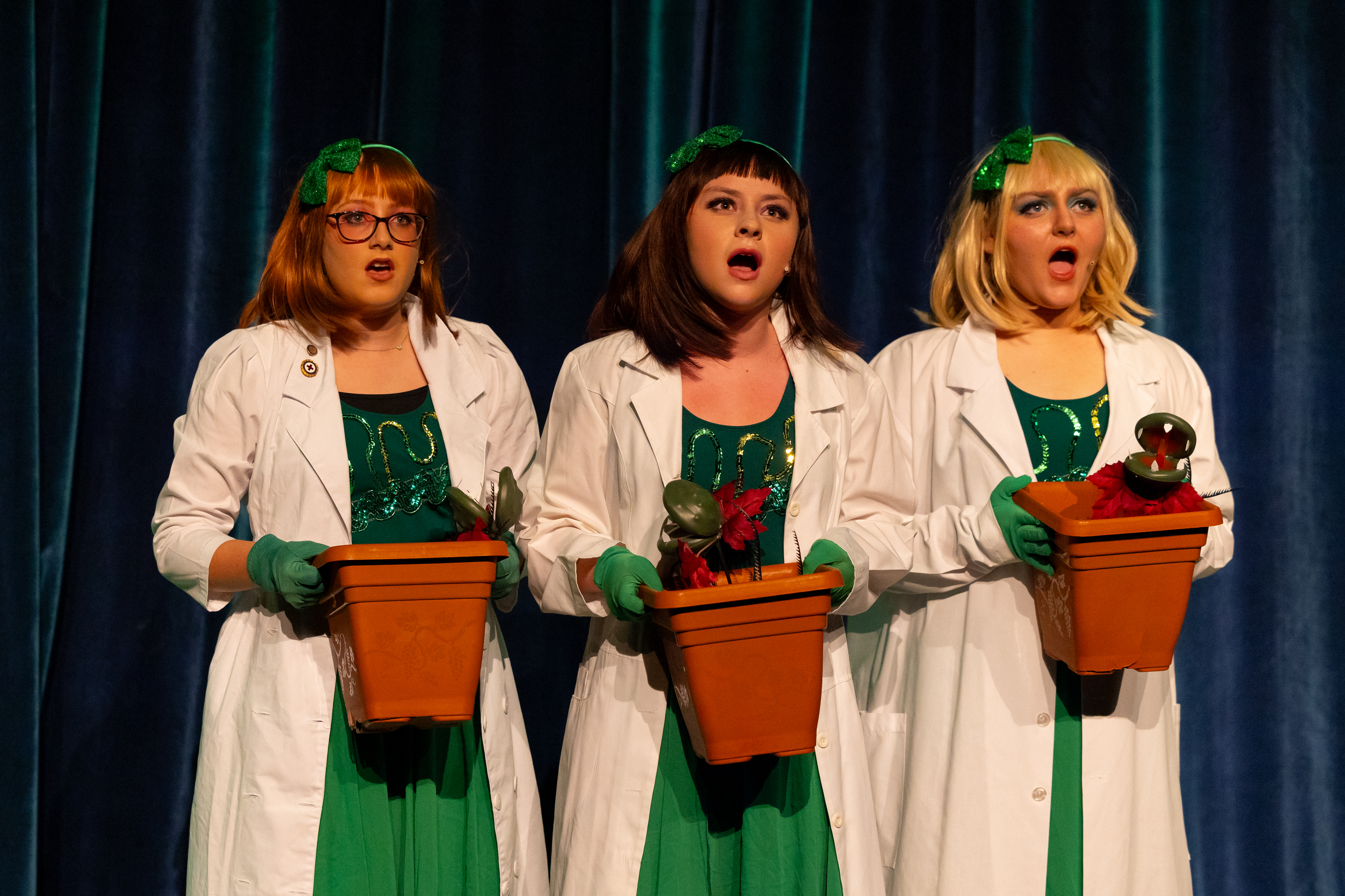 costume-littleshop 8