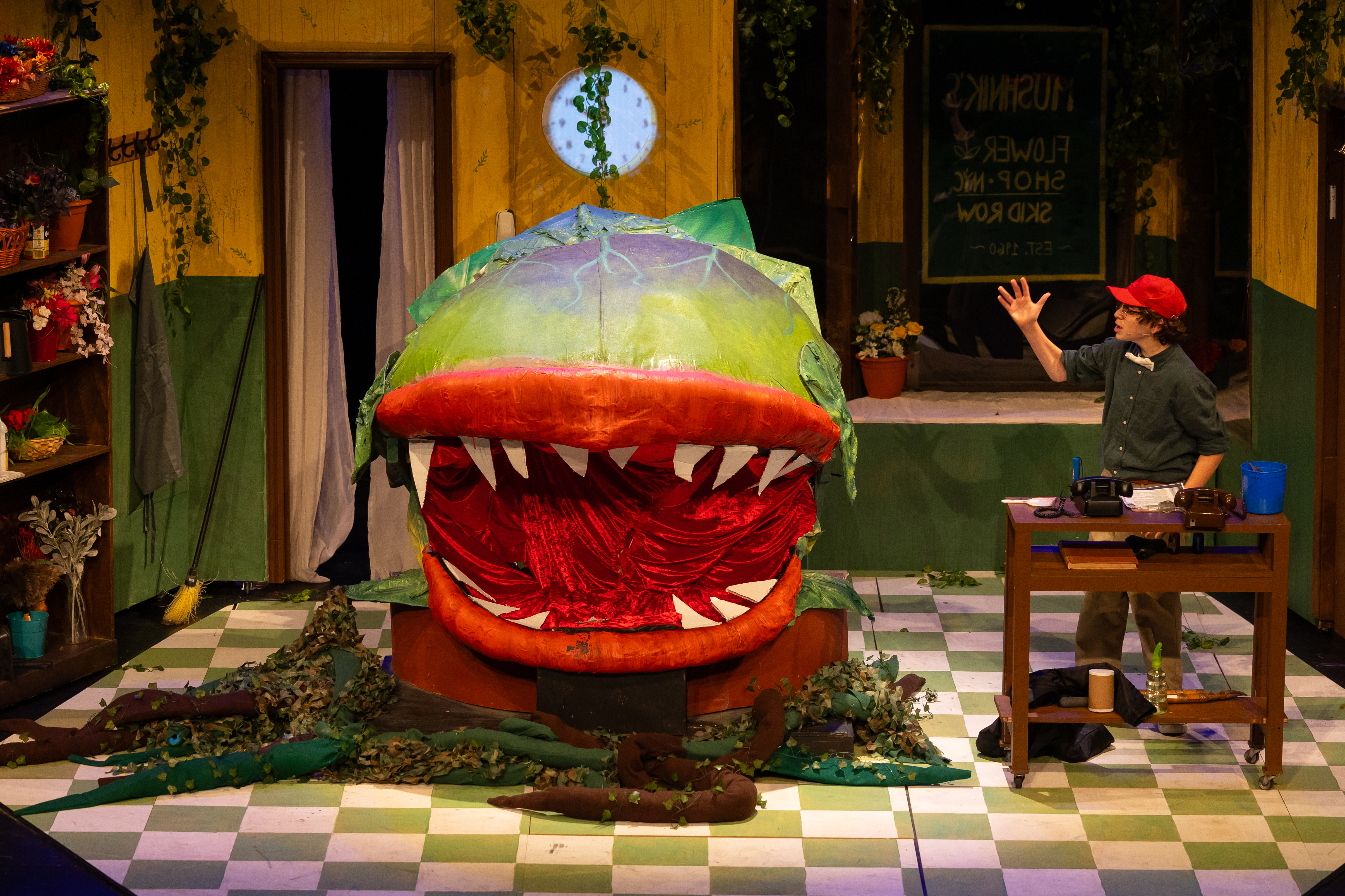 set-littleshop 7